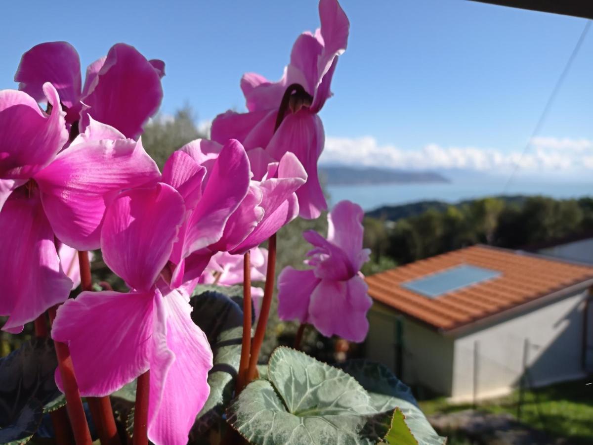Le Vigne Di Lenf Apartamento Porto Venere Exterior foto